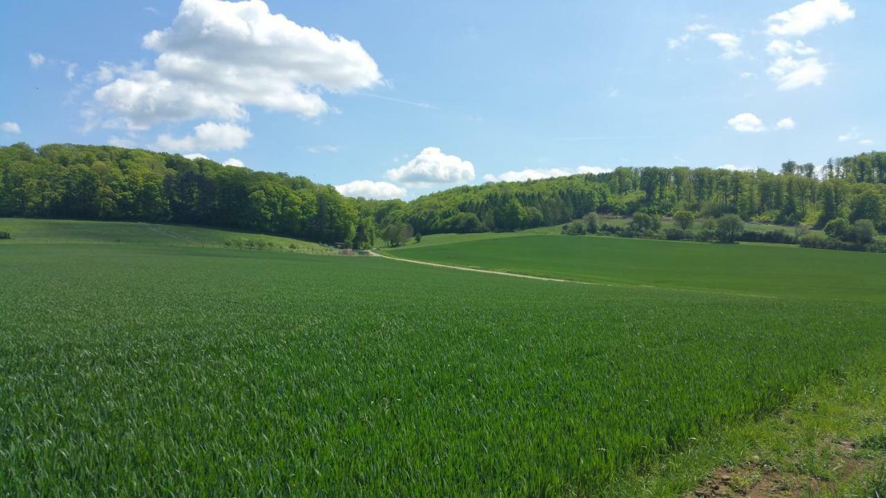 Friedland - Gross Schneen Goe 10 Km Esterno foto